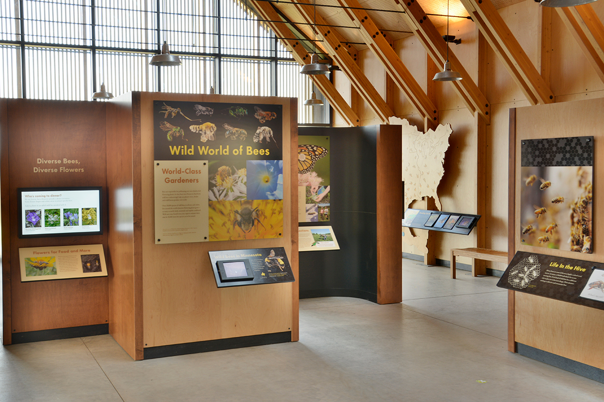 wild world of bees exhibit